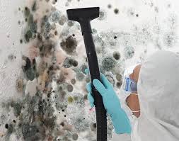 Best Industrial Mold Remediation in Ashaway, RI